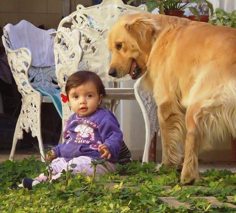 Proximidade com os animais ajuda no desenvolvimento dos pequenos (Foto: Reprodução)